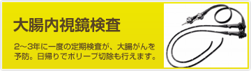 大腸内視鏡検査